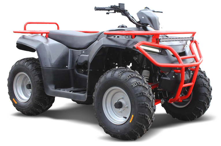 Квадроциклы ATV 250-1